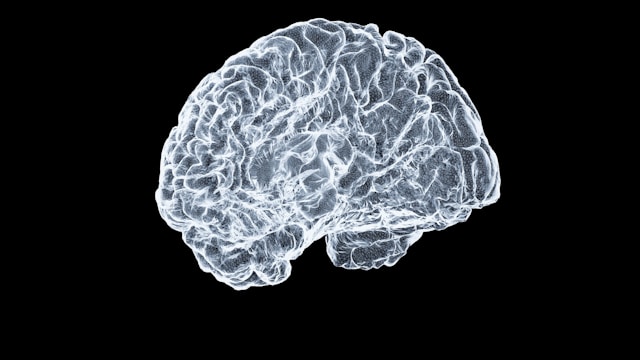 Einsamkeit wirkt auf Gehirn und Herz: Neurologische Zusammenhänge